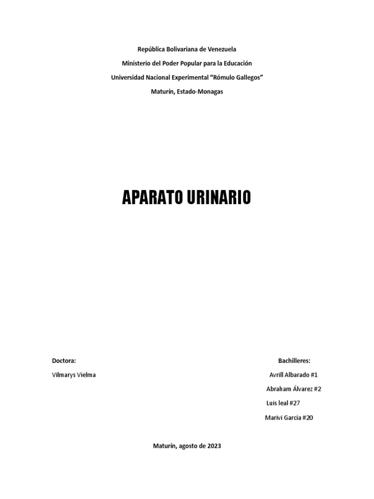 Aparato Urinario Pdf Riñón Sistema Urinario
