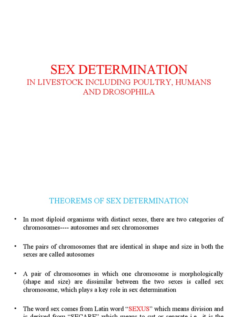 8 Sex Determination | PDF