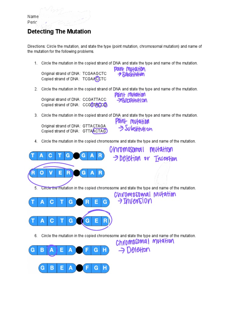 Detecting The Mutation Worksheet PDF