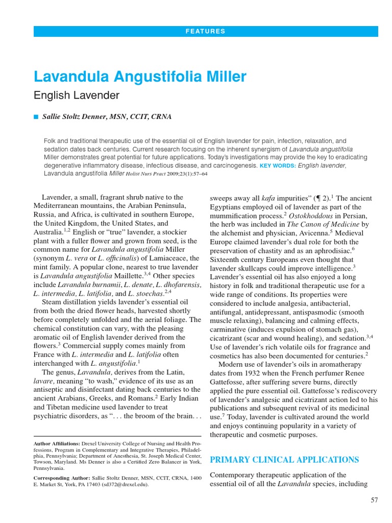 Therapeutic Benefits of English Lavender | PDF | Lavandula | Essential Oil