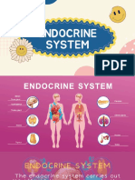 ENDOCRINE System