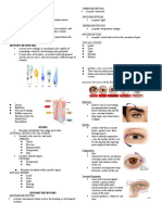 Five Sensory Organs