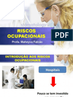 1 Aula - Riscos Ocupacionais