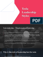 Leadership Tesla