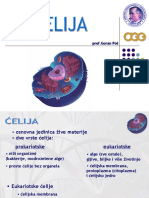 01 Celija