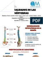 Generalidades de Las Vértebras - Compañera
