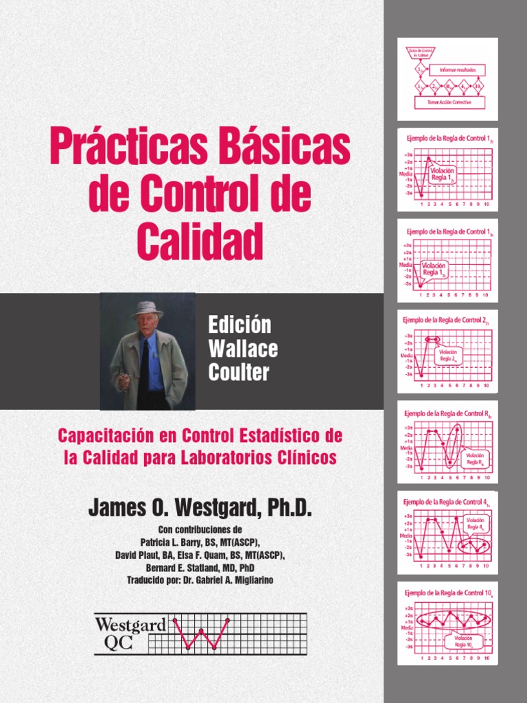 Practicas Basicas de Control de Calidad | PDF | Calidad (comercial ...