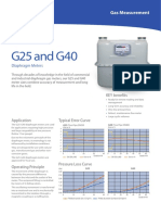 Actaris Gas Measurement G25 & G40 