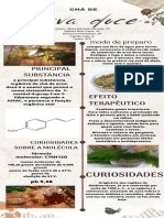 Infográfico Certo