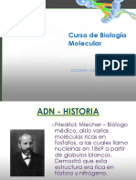 CLASE 2 - Historia y Estructura Del ADN