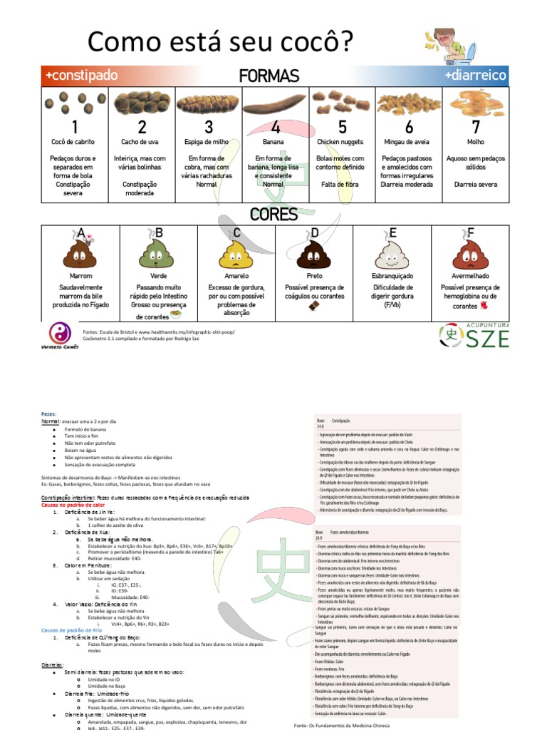 Tipos e Análise de Fezes Adultas | PDF | Fezes humanas | Especialidades ...