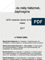 10 - Hátizmok, Diaphragma 2017-3