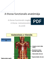 Anatómia Ea13