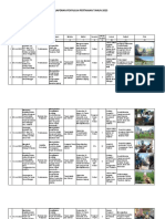 Template Laporan Penyuluh Iskandar 