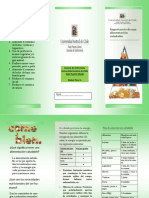 4.triptico Alimentacion