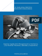Guía Legal MB Reorganización e Insolvencia y Sus Alcances Tributarios Laborales y Corporativos