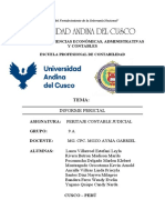 Informe Pericial Final Corregido