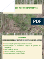 2 Informacao Nao Dendrometrica