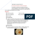 Informe de Laboratorio N 3