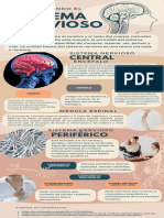 Infografia Sistema Nervioso Anatomico Azul Beige