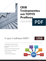 Crib Treinamentos em Totvs Protheus: O Que É Erp Protheus?