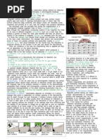 Download Magnetic Particle Presentation by Jayesh SN66852904 doc pdf