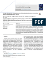 Grouper (Epinephelus Coioides) Mpeg1s - Molecular Identification, Expression Analysis, and Antimicrobial Activity