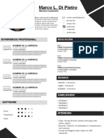 Curriculum Vitae Infografia