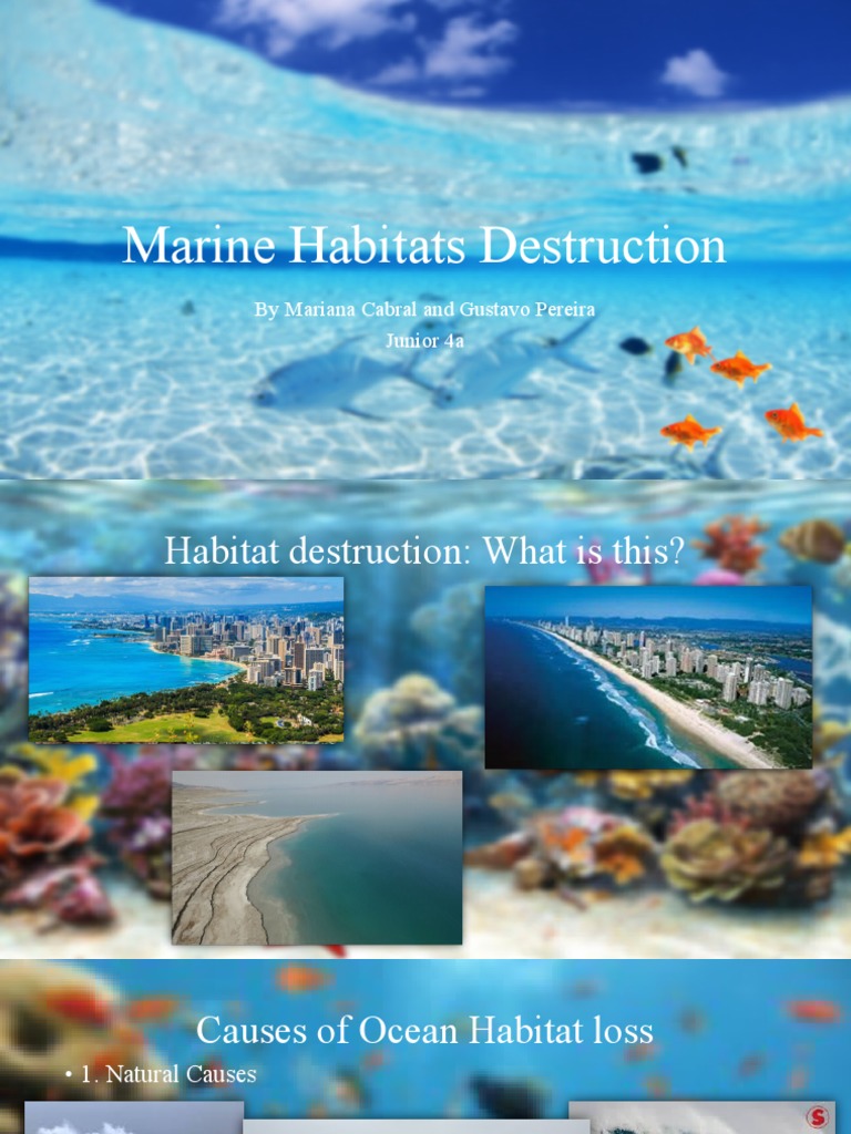 Marine Habitats Destruction | PDF