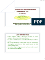Calculations On Cost of Cultivation and Economics of Rice (AAG 312)