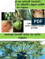 22mango Papaya Pinapple Fruit Diseases