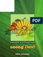 Banana Book - Sinhala