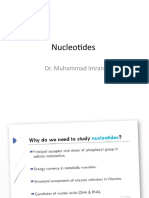 Nucleotides in Details