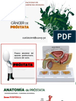 Cáncer de Próstata Exposicion PDF