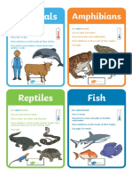 T TP 2679677 Animal Groups Classification Cards - Ver - 1