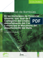 2021 Guía Bambúes Caqueta y Meta, Colombia