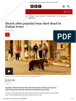 Shock After Popular Bear Shot Dead in Italian Town - BBC News