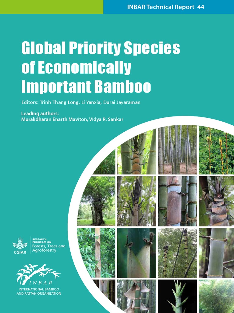 Global Priority Bamboo Species Report | PDF | Bamboo | Agriculture