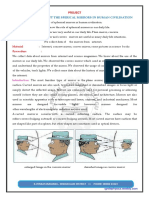 Spherical Mirrors in Civilisation - em - KVR Project 3