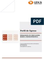 Perfil de Egreso Pedagogia en Educacion Basica (M) Matematica