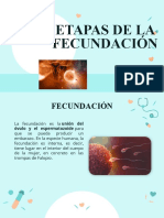 Etapas de Fecundacion