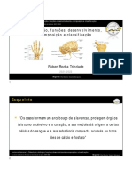 Anatomia I - Aula T02 - Osteologia, Definição, Funções, Desenvolvimento, Composição e Classificação - 2021-2022 - RRT