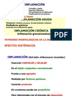 Inflamacion Aguda