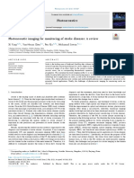 Photoacoustic Imaging For Monitoring of Stroke Diseases A Review Yang2021