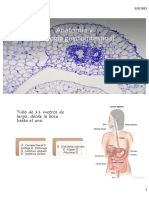 Gastrointestinal