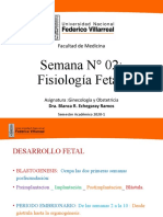 Fisiologia Fetal Unfv Dra Echegaray