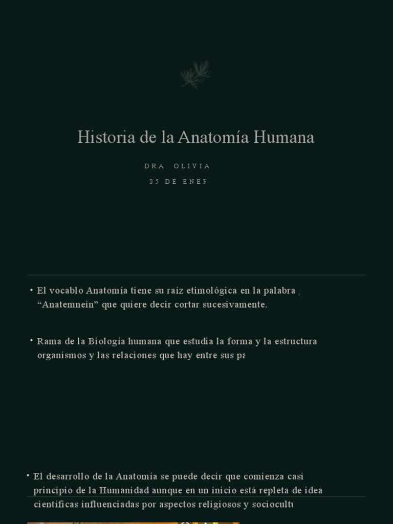 Historia de La Anatomía Humana | Descargar gratis PDF | Anatomía | Cadáver