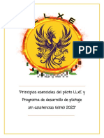 Principios de Piloto y Programa Nivel Elite2023 - Compressed