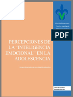 Ensayo Fotográfico Sobre Percepciones de La Inteligencia Emocional en La Adolescencia