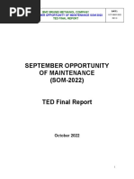 221105A-01AF-TED SOM-2022 Final Report